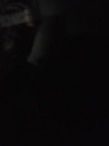 2132754211, transgender escort, Fresno